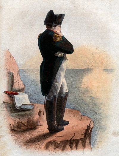 Portrait de Napoléon Ier (1769-1821) sur l