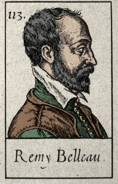 Portrait de Rémy Belleau (1528-1577) poète français membre du mouvement de la Pléiade. Gravure du XIXe siècle - French School