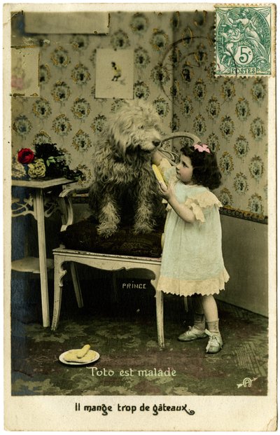 Carte postale : Toto est malade, il mange trop de gâteau - French School