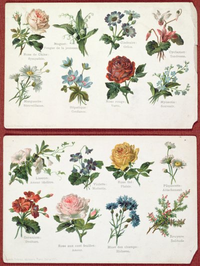 Cartes postales représentant le langage et la signification des fleurs, vers 1905 - French School