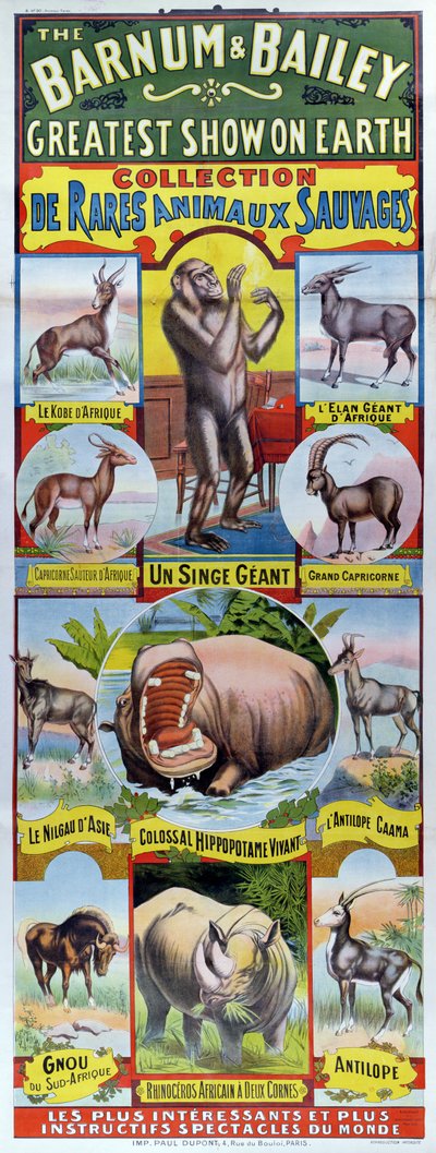 Affiche publicitaire pour la Collection de Rares Animaux Sauvages du cirque Barnum et Bailey - French School