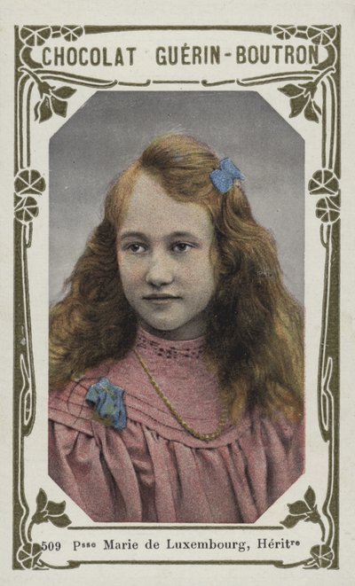 Princesse Marie de Luxembourg, Héritière - French School