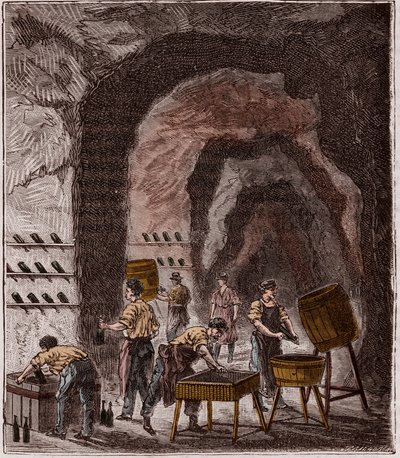 Production de champagne - Fabrication du Champagne - Gravure dans « Sciences mises à la portée de tous - physique et chimie » par Alexis Clerc - Fin 19ème siècle - Collection privée - French School