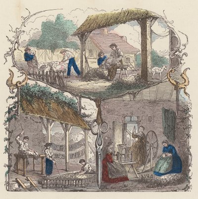 Production de laine - French School