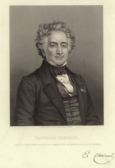 Professeur Chevreul - French School