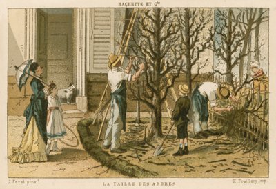Élagage des arbres - French School
