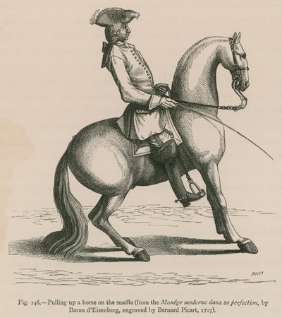 Arrêter un cheval au filet (du Manege moderne dans sa perfection, par le baron d