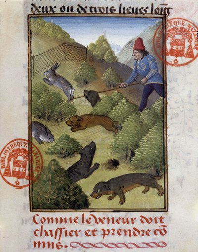 Chasse au lapin - dans « Livre de chasse de Gaston Phébus, comte de Foix, seigneur de Béarn » - French School