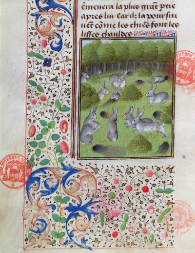 Garenne de lapins, du Livre de la Chasse par Gaston Phébus de Foix - French School