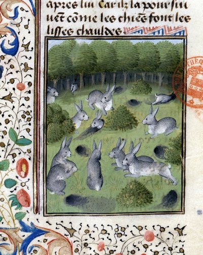 Lapins - dans "Livre de chasse de Gaston Phoebus, Comte de Foix, Seigneur de Béarn" - French School