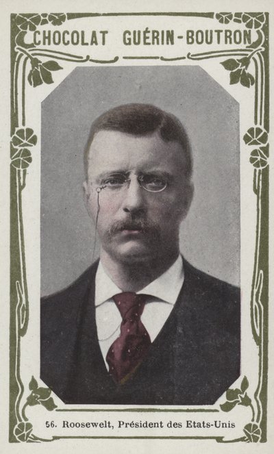 Roosevelt, Président des États-Unis - French School