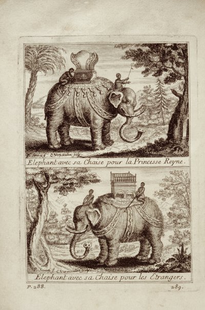 Éléphants royaux, de Voyage du Siam des Pères Jésuites par Guy Tachard, 1688 - French School