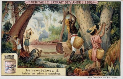 Caoutchouc : incision des arbres à caoutchouc - chromo Liébig - French School