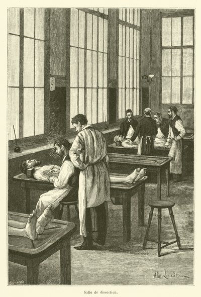 Salle de dissection (engraving) - French School