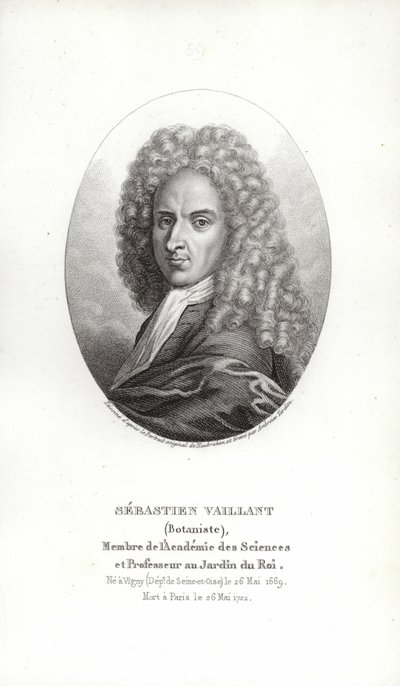Sébastien Vaillant - French School