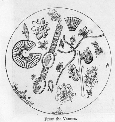 Sédiment de l