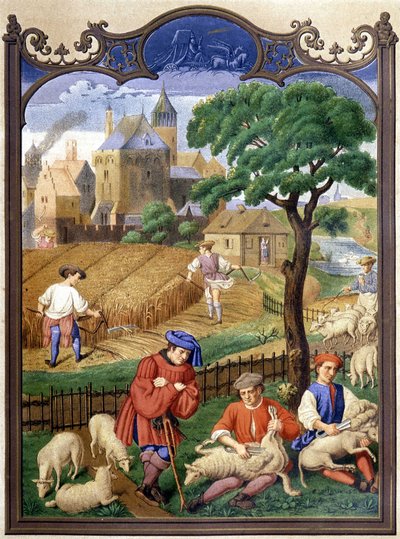 Tonte des moutons et récolte - miniature, Moyen Âge - French School