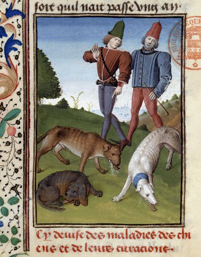 Chiens de chasse malades - dans "Livre de chasse de Gaston Phoebus, Comte de Foix, Seigneur de Béarn" - French School