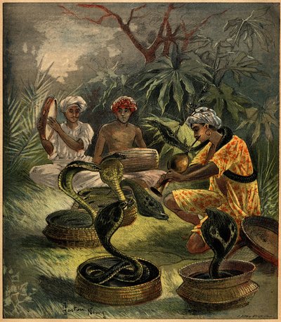 Charmeurs de serpents (cobras) en Inde. Gravure dans 
