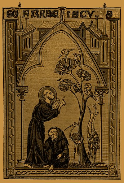 Saint François d