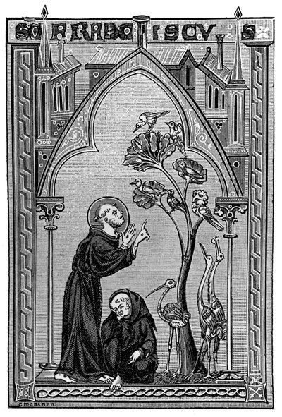 Saint François d