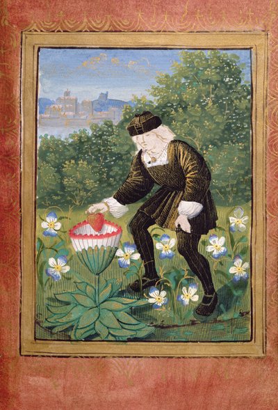 Miniature de Pierre Sala déposant 