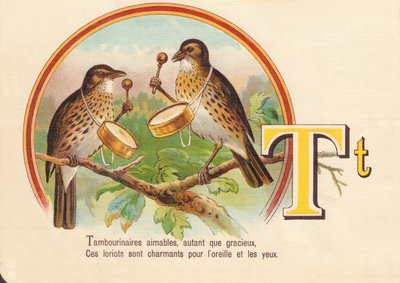T : Tambourinaires gentils, autant que gracieux, ces loriots sont charmants pour l