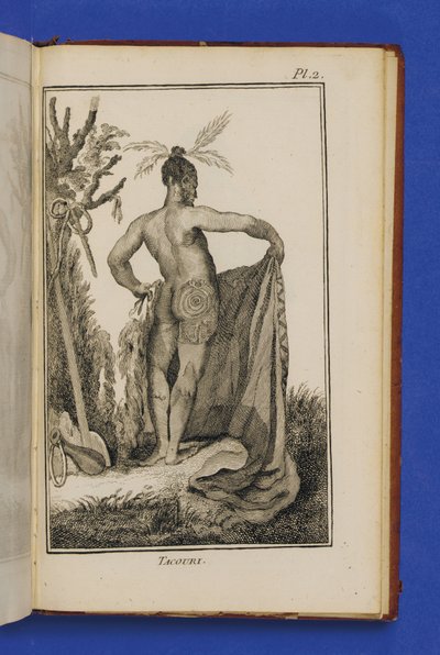 Tacouri, illustration de 