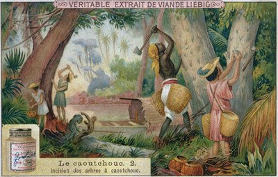 Tapping rubber trees, carte publicitaire pour Veritable Extrait de Viande Liebig, fin du 19e siècle - French School
