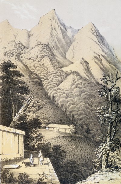 Plantations de thé dans le district de thé vert de Chine, tiré de Un voyage dans les pays du thé de Chine, publié pour la première fois en 1852, par Robert Fortune (1812-1880) - French School