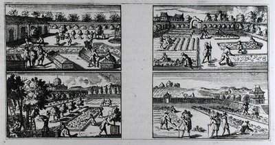 Entretenir un jardin, de 
