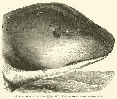 Tête du Serpent de Mer - French School