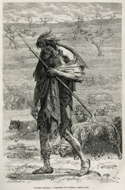 Le berger australien, gravé d