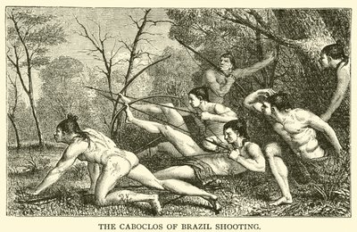 Les Caboclos du Brésil tirant - French School