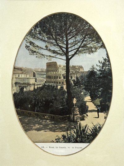 Le Colisée vu de la colline Palatine à Rome - French School