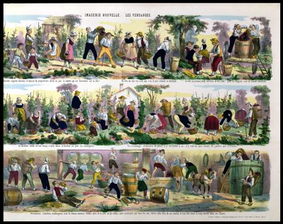 La Récolte du raisin, Imagerie de Pont-à-Mousson - French School