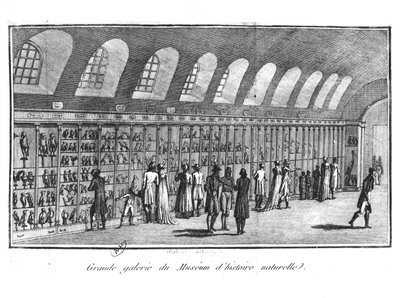 La Grande Galerie du Musée d
