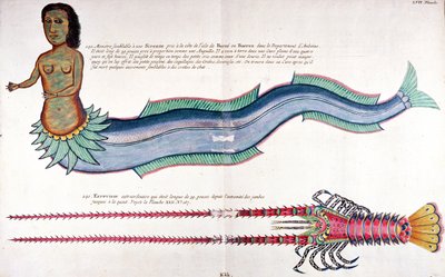 La Sirène d