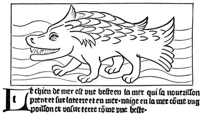 Le Chien de Mer - French School