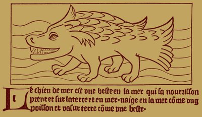 Le Chien de Mer - French School