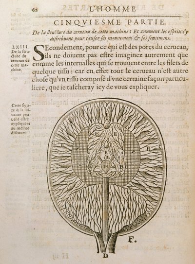 La Structure du cerveau, de De Homine Figuris par René Descartes publié à La Haye, 1662 - French School