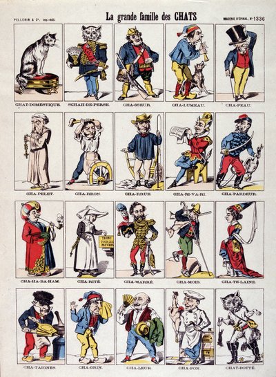 La grande famille des chats - Imagerie d