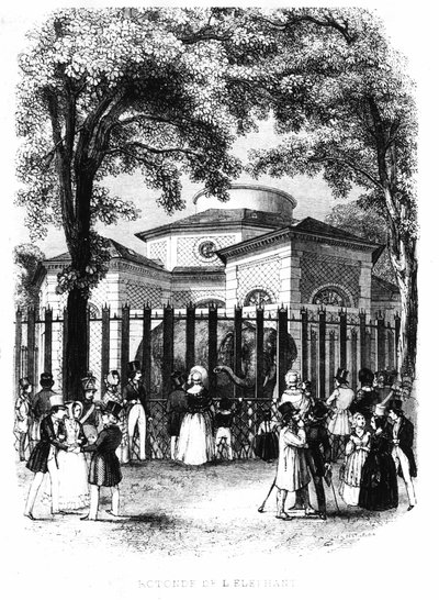 La rotonde des éléphants du jardin des plantes à Paris - gravure - French School
