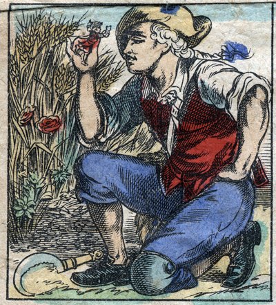 Le géant laboureur de Brobdingnag saisit Lemuel Gulliver. Illustration pour « Les Voyages de Gulliver » de Jonathan Swift (1667-1745). Imagerie d