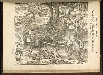 La chasse d