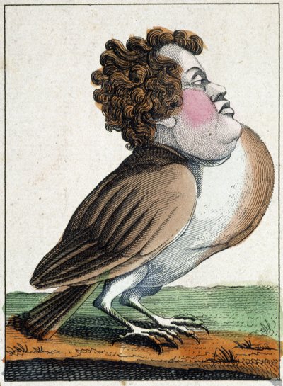 Le pigeon en caricature, étude de caractère « caractère volatile » - French School