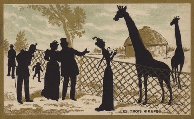Les trois girafes - French School
