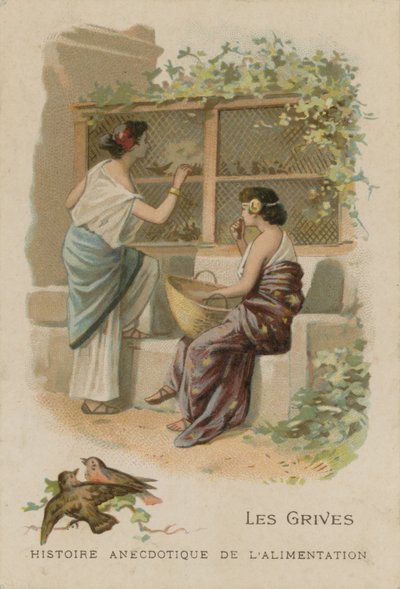 Les grives - French School