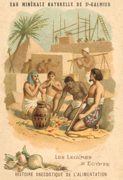 Les légumes d