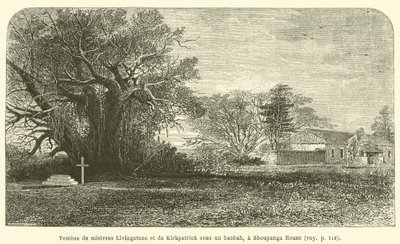 Tombes de mistress Livingstone et de Kirkpatrick sous un baobab, à Shoupanga House - French School